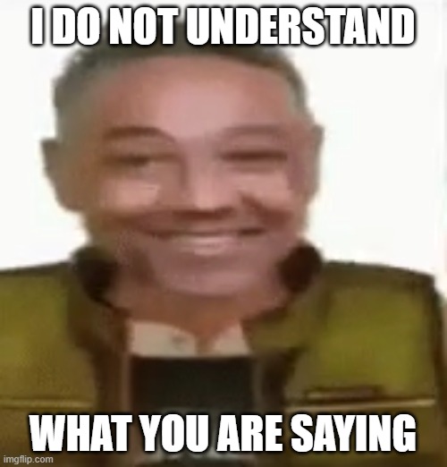 Gustavo Vance | I DO NOT UNDERSTAND WHAT YOU ARE SAYING | image tagged in gustavo vance | made w/ Imgflip meme maker