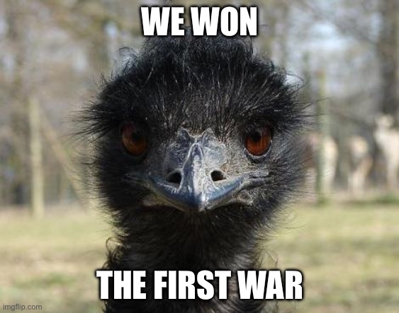 Bad News Emu | WE WON THE FIRST WAR | image tagged in bad news emu | made w/ Imgflip meme maker