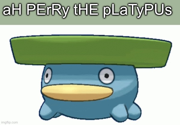 You can’t tell me he doesn’t look like that | aH PErRy tHE pLaTyPUs | image tagged in pokemon,lotad,perry the platypus,phineas and ferb | made w/ Imgflip meme maker