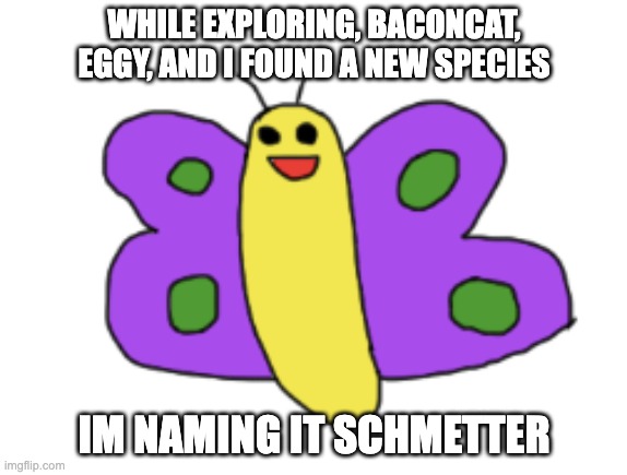 WHILE EXPLORING, BACONCAT, EGGY, AND I FOUND A NEW SPECIES; IM NAMING IT SCHMETTER | made w/ Imgflip meme maker