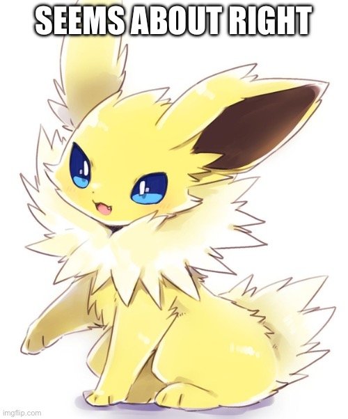 jolteon | SEEMS ABOUT RIGHT | image tagged in jolteon | made w/ Imgflip meme maker