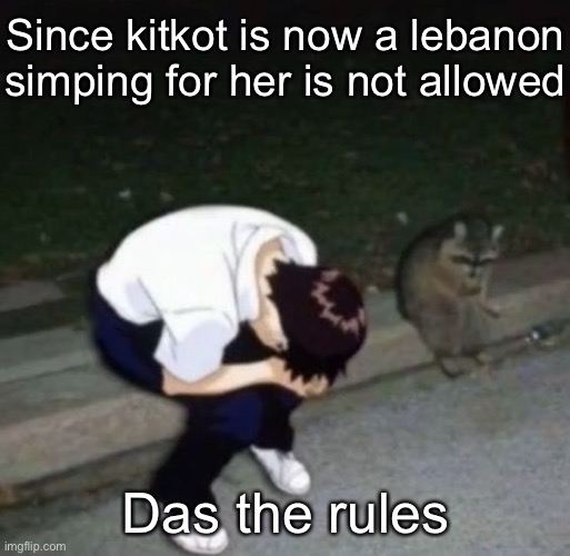 shinj crying with his raccoon homie | Since kitkot is now a lebanon simping for her is not allowed; Das the rules | image tagged in shinj crying with his raccoon homie | made w/ Imgflip meme maker