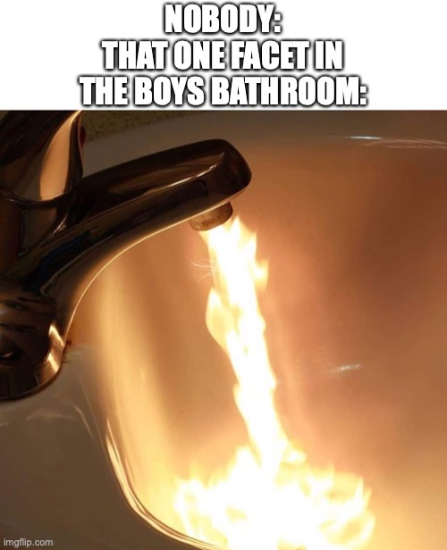 extremely interesting title |  NOBODY:
THAT ONE FACET IN THE BOYS BATHROOM: | image tagged in boys,school | made w/ Imgflip meme maker