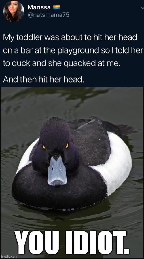 Angry duck | YOU IDIOT. | image tagged in angry duck,duck,kids | made w/ Imgflip meme maker