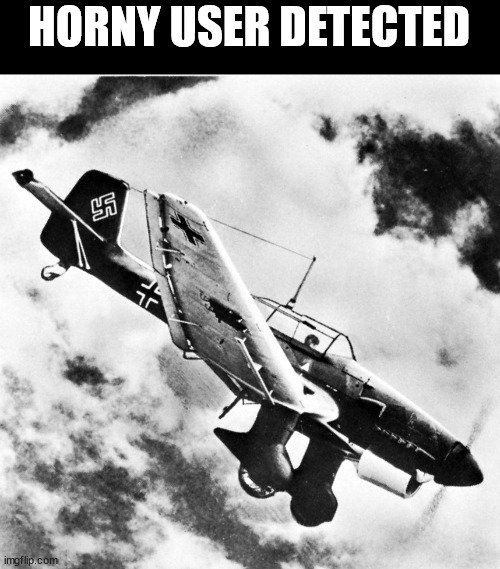 Ju-87 Dive | HORNY USER DETECTED | image tagged in ju-87 dive | made w/ Imgflip meme maker