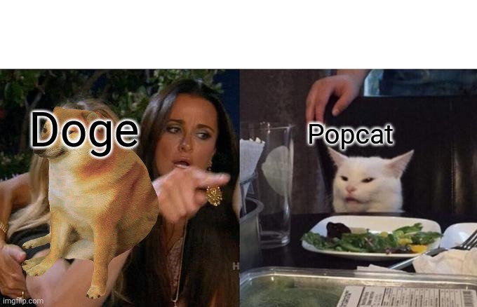 Woman Yelling At Cat Meme | Doge; Popcat | image tagged in memes,woman yelling at cat | made w/ Imgflip meme maker
