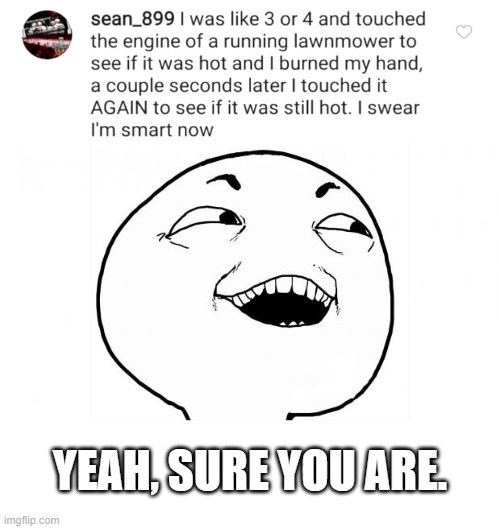 YEAH SURE | YEAH, SURE YOU ARE. | image tagged in yeah sure,lawnmower,engine,hand,hot,burn | made w/ Imgflip meme maker