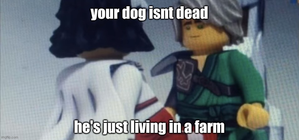 Dont pause ninjago | your dog isnt dead; he's just living in a farm | image tagged in dont pause ninjago | made w/ Imgflip meme maker