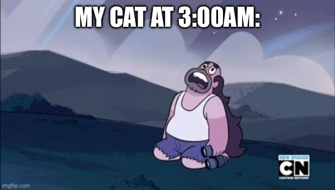 Hello new stream :) | MY CAT AT 3:00AM: | image tagged in steven universe is killing me | made w/ Imgflip meme maker