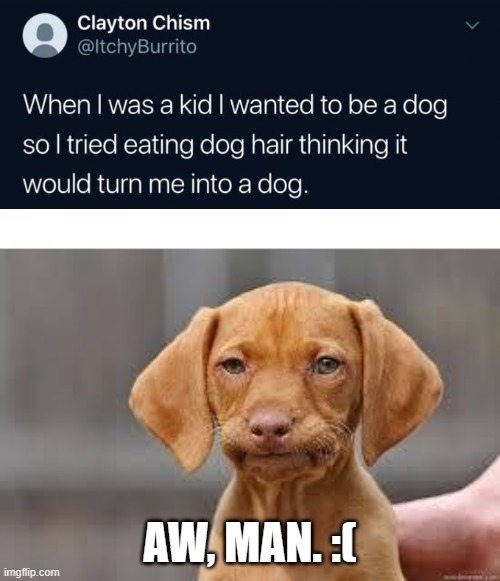 The furries would also be disappointed. | AW, MAN. :( | image tagged in disappointed dog,dog,hair,kids | made w/ Imgflip meme maker