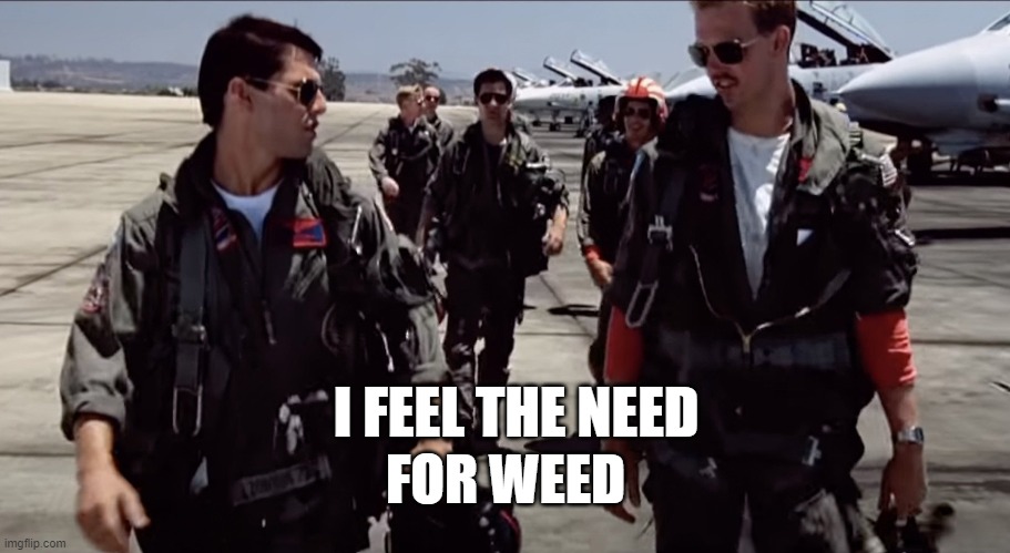 FOR WEED; I FEEL THE NEED | image tagged in funny | made w/ Imgflip meme maker