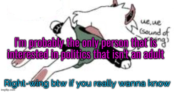 ue, ue (sound of crying) | I'm probably the only person that is interested in politics that isn't an adult; Right-wing btw if you really wanna know | image tagged in ue ue sound of crying | made w/ Imgflip meme maker