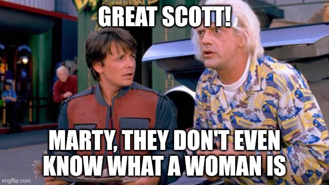 If Doc and Marty came to our time | GREAT SCOTT! MARTY, THEY DON'T EVEN
KNOW WHAT A WOMAN IS | image tagged in back to the future,democrats,liberals,woman,woke | made w/ Imgflip meme maker