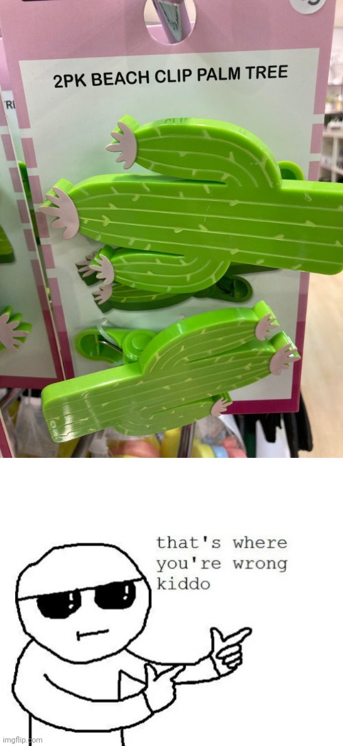 Cactuses | image tagged in that's where you're wrong kiddo,cactus,palm tree,you had one job,memes,fails | made w/ Imgflip meme maker