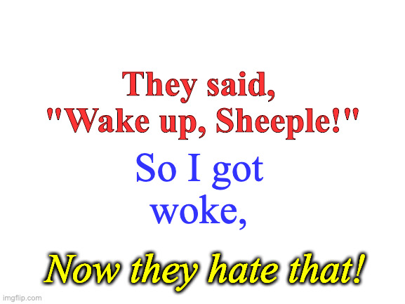 Blank White Template | They said, 
"Wake up, Sheeple!"; So I got
woke, Now they hate that! | image tagged in blank white template | made w/ Imgflip meme maker