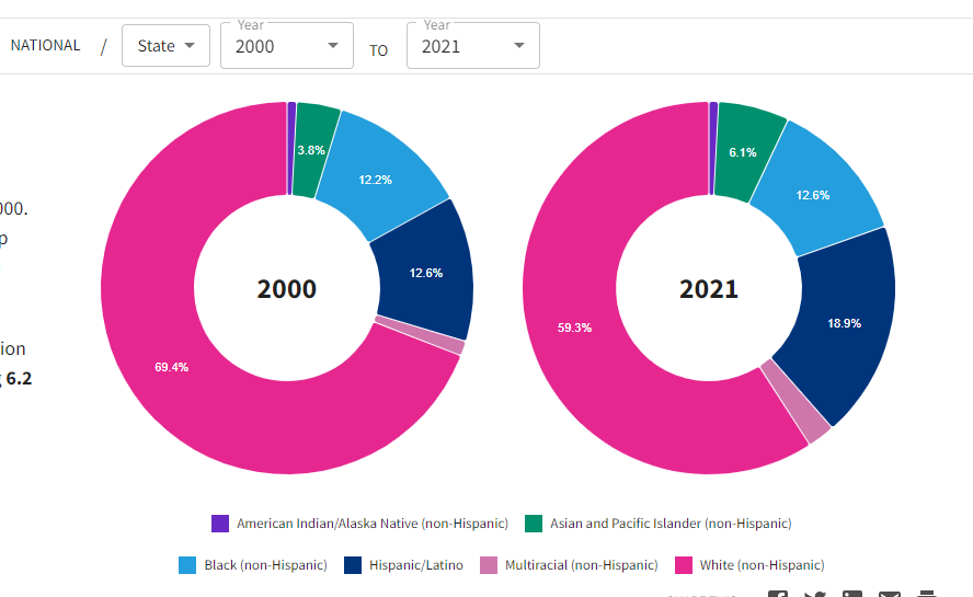 US racial demographics 2000 to 2021  JPP Blank Meme Template