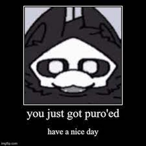 you just got puro'ed | image tagged in you just got puro'ed | made w/ Imgflip meme maker