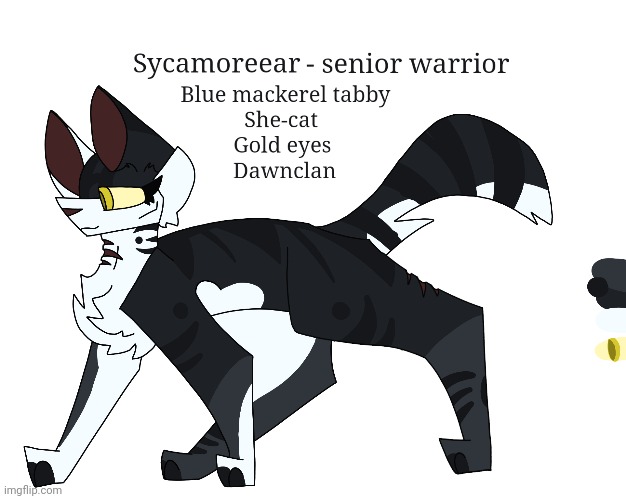 Sycamoreear of Dawnclan, Lavenderpelts mother | made w/ Imgflip meme maker