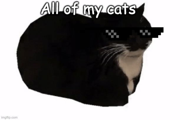 maxwell the cat | All of my cats | image tagged in maxwell the cat | made w/ Imgflip meme maker