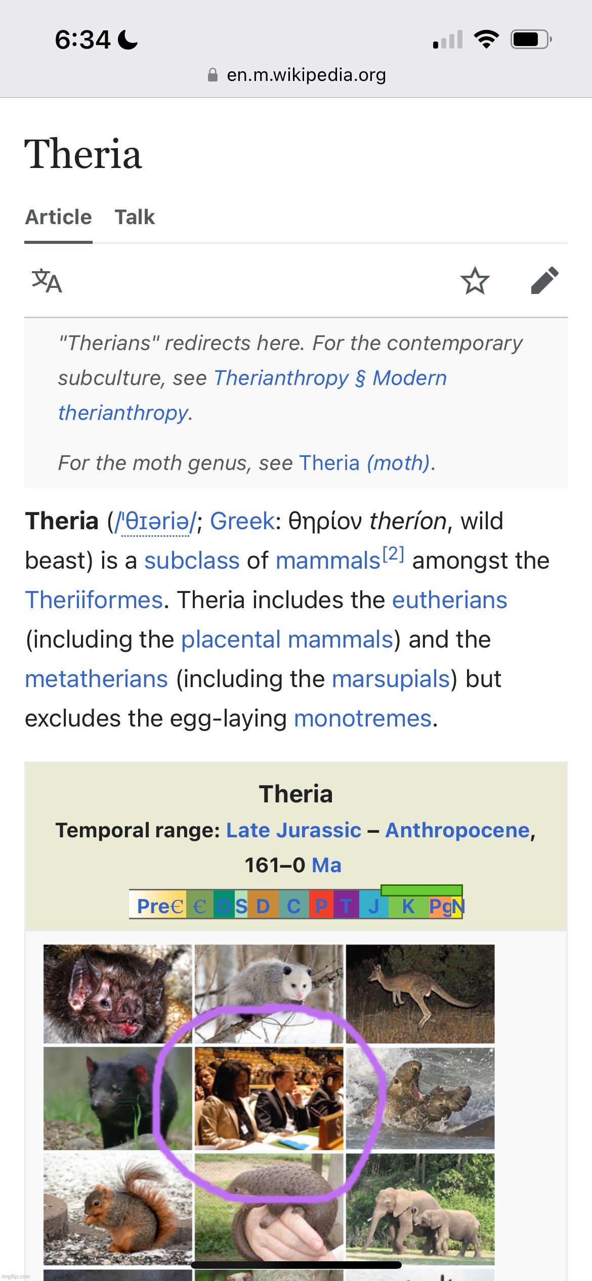 Theria - Wikipedia