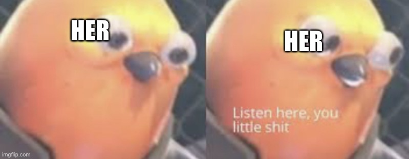 Listen here you little shit bird | HER HER | image tagged in listen here you little shit bird | made w/ Imgflip meme maker