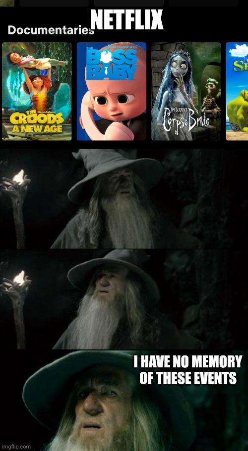 Netflix "Documentaries" | NETFLIX; I HAVE NO MEMORY OF THESE EVENTS | image tagged in memes,confused gandalf,netflix,you had one job | made w/ Imgflip meme maker