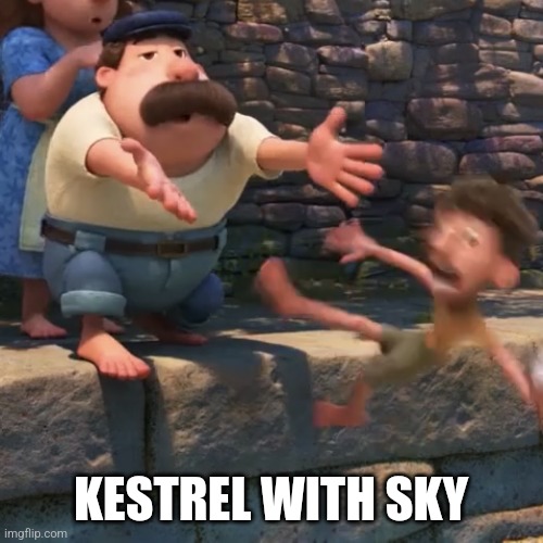 YEET | KESTREL WITH SKY | image tagged in man throws child into water,wings of fire | made w/ Imgflip meme maker