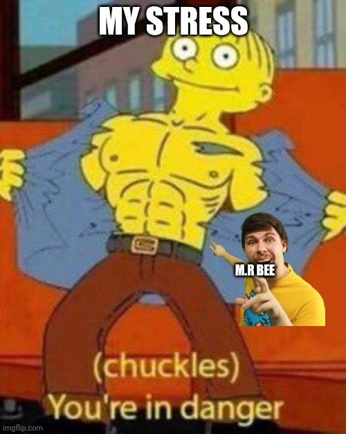 Ralph you’re in danger | MY STRESS; M.R BEE | image tagged in ralph you re in danger | made w/ Imgflip meme maker