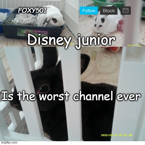 it has lion gwart in it | Disney junior; Is the worst channel ever | image tagged in foxy501 announcement template | made w/ Imgflip meme maker