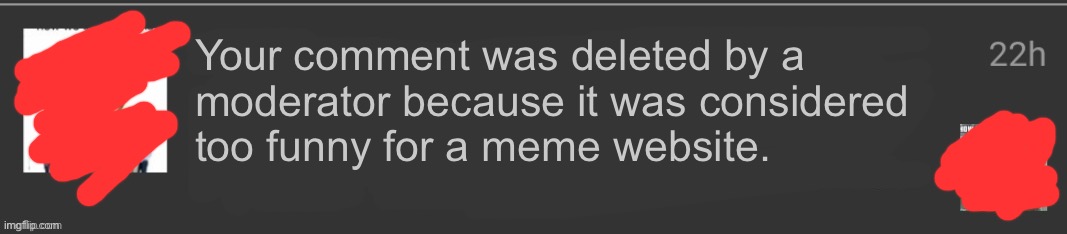 lmao | Your comment was deleted by a 
moderator because it was considered 
too funny for a meme website. | made w/ Imgflip meme maker