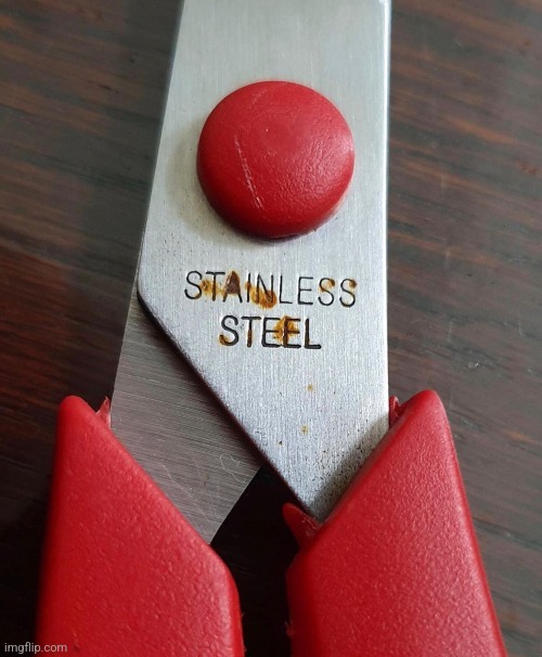 Totally stainless | made w/ Imgflip meme maker