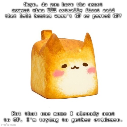 Catbread | Guys, do you have the exact moment when TCK actually first said that loli hentai wasn't CP or posted CP? Not that one meme I already sent to OP, I'm trying to gather evidence. | image tagged in catbread | made w/ Imgflip meme maker