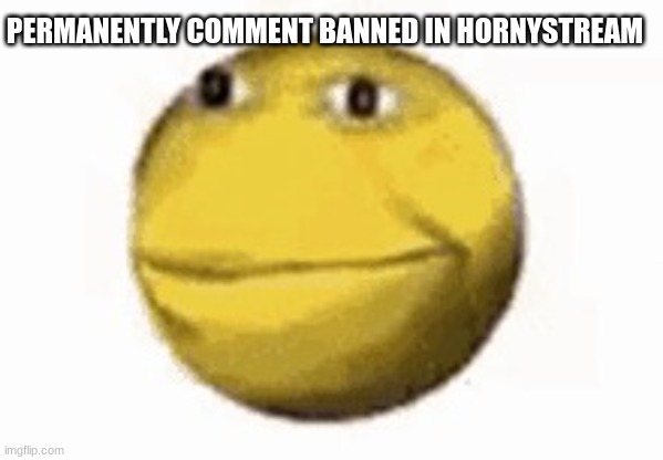 mem | PERMANENTLY COMMENT BANNED IN HORNYSTREAM | image tagged in mem | made w/ Imgflip meme maker