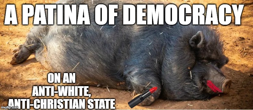 A PATINA OF DEMOCRACY; ON AN ANTI-WHITE, ANTI-CHRISTIAN STATE | image tagged in memes | made w/ Imgflip meme maker