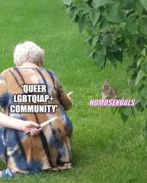 Gay vs queer alphabet | 'QUEER LGBTQIAP+ COMMUNITY'; HOMOSEXUALS | image tagged in grandma hiding knife rabbit | made w/ Imgflip meme maker