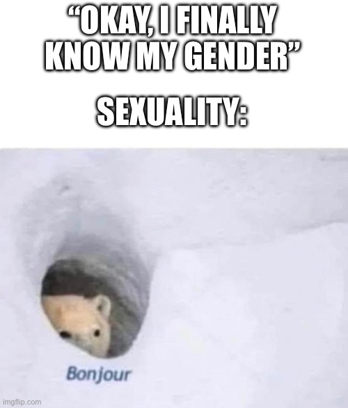 please help | “OKAY, I FINALLY KNOW MY GENDER”; SEXUALITY: | image tagged in bonjour | made w/ Imgflip meme maker