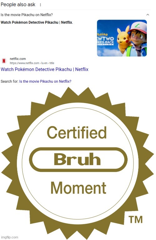 image tagged in certified bruh moment,my pokemon can't stop laughing you are wrong,netflix,google | made w/ Imgflip meme maker