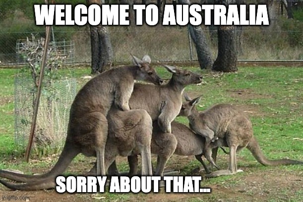 In Australia | WELCOME TO AUSTRALIA; SORRY ABOUT THAT... | image tagged in in australia | made w/ Imgflip meme maker