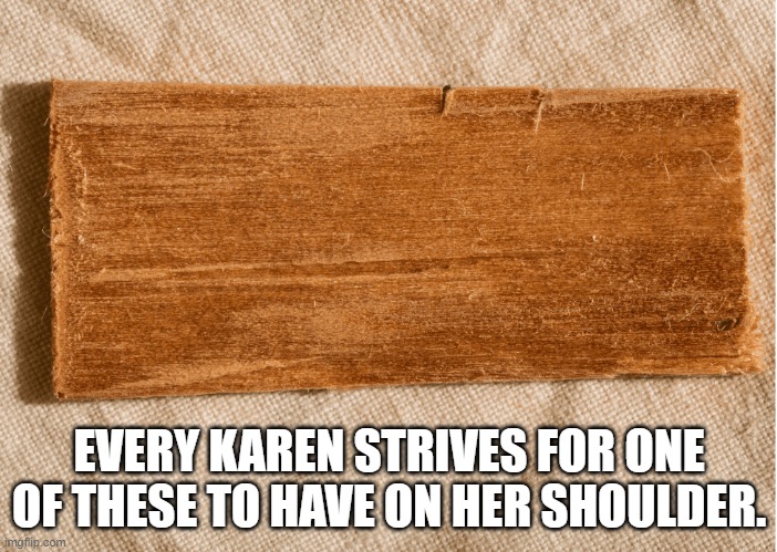 EVERY KAREN STRIVES FOR ONE OF THESE TO HAVE ON HER SHOULDER. | image tagged in giant wood chip | made w/ Imgflip meme maker