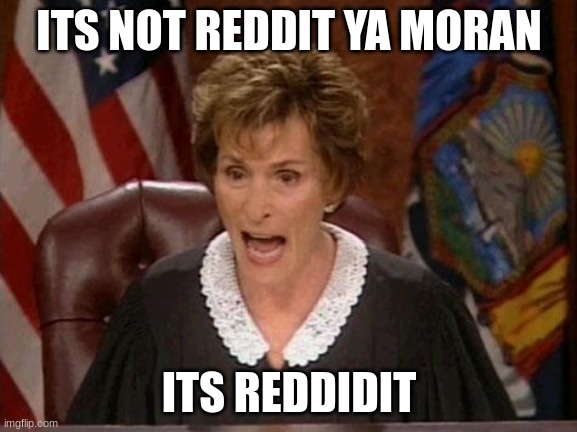 Judge Judy | ITS NOT REDDIT YA MORAN; ITS REDDIDIT | image tagged in judge judy | made w/ Imgflip meme maker