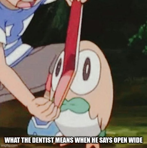 aaaaaaaaaaaaaaaaaaaaaaaaaaaaaaaaaaaaaaaaaaaaaaaaaaaaaaaaaaaaaaaaaaaaaaaaaaaaaaaaaaaaaaaaaaaaaaaaaaaaaa | WHAT THE DENTIST MEANS WHEN HE SAYS OPEN WIDE | image tagged in dentist,rowlet,say aaaaaaaa,aaaaaaaaaaaaaaaaaaaaaaaaaaa,pokemon | made w/ Imgflip meme maker