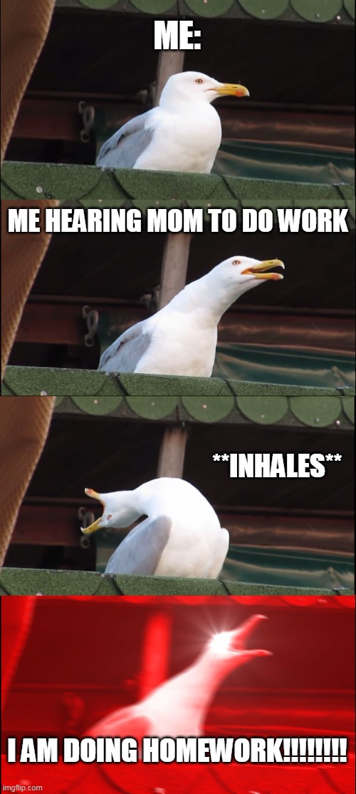 Idk what i made but some people do this | ME:; ME HEARING MOM TO DO WORK; **INHALES**; I AM DOING HOMEWORK!!!!!!!! | image tagged in memes,inhaling seagull | made w/ Imgflip meme maker
