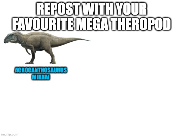 Acro is underated | REPOST WITH YOUR FAVOURITE MEGA THEROPOD; ACROCANTHOSAURUS
MIKRAI | image tagged in mega theropod,repost this,dinosaur | made w/ Imgflip meme maker