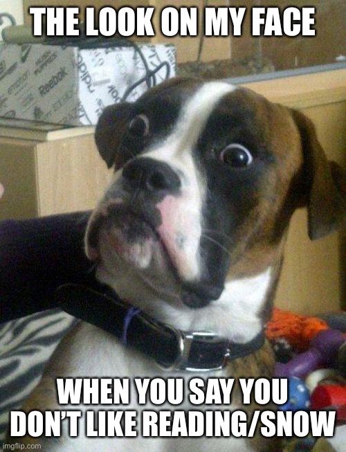 Blankie the Shocked Dog | THE LOOK ON MY FACE; WHEN YOU SAY YOU DON’T LIKE READING/SNOW | image tagged in blankie the shocked dog | made w/ Imgflip meme maker