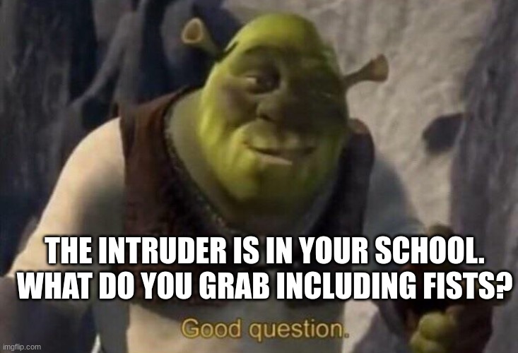 Shrek good question | THE INTRUDER IS IN YOUR SCHOOL. WHAT DO YOU GRAB INCLUDING FISTS? | image tagged in shrek good question | made w/ Imgflip meme maker