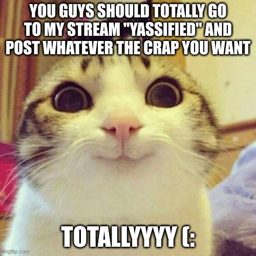 totally | YOU GUYS SHOULD TOTALLY GO TO MY STREAM "YASSIFIED" AND POST WHATEVER THE CRAP YOU WANT; TOTALLYYYY (: | image tagged in memes,smiling cat | made w/ Imgflip meme maker