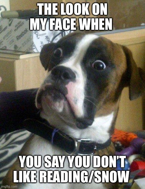 Blankie the Shocked Dog | THE LOOK ON MY FACE WHEN; YOU SAY YOU DON’T LIKE READING/SNOW | image tagged in blankie the shocked dog | made w/ Imgflip meme maker