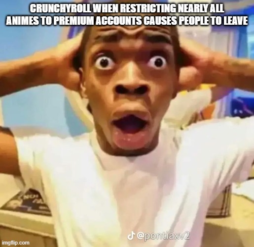 I just had to vent this | CRUNCHYROLL WHEN RESTRICTING NEARLY ALL ANIMES TO PREMIUM ACCOUNTS CAUSES PEOPLE TO LEAVE | image tagged in shocked black guy,anime meme,anime,crunchyroll | made w/ Imgflip meme maker