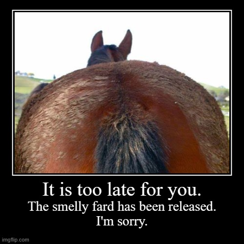 Welcome to the Fard Realm. | image tagged in funny,demotivationals,horse,fart,smelly,fard | made w/ Imgflip demotivational maker