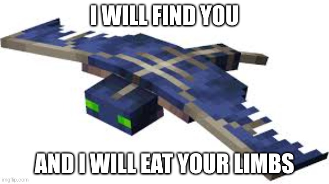 Minecraft Phantom | I WILL FIND YOU AND I WILL EAT YOUR LIMBS | image tagged in minecraft phantom | made w/ Imgflip meme maker